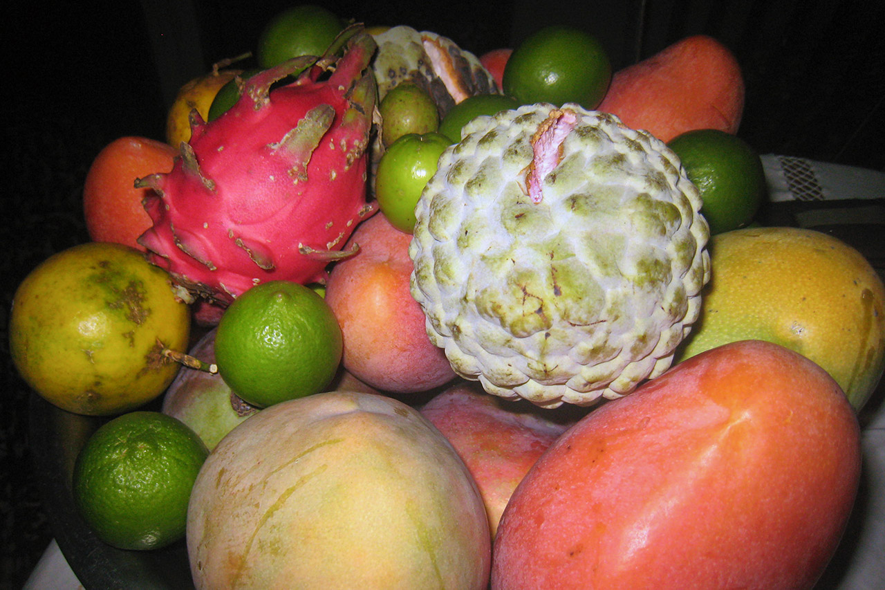 Diversity instead of monoculture. Photo: Caritas San Miguel