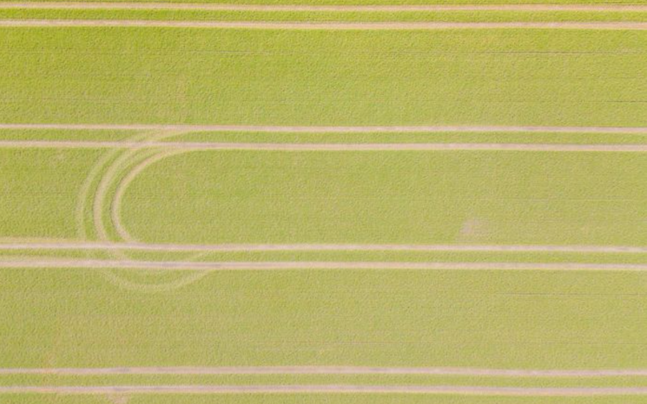 Teilnehmende der Studie aus dem Lebensmittelsektor sind besonders von Nahrungsunsicherheit betroffen. (c) SLE