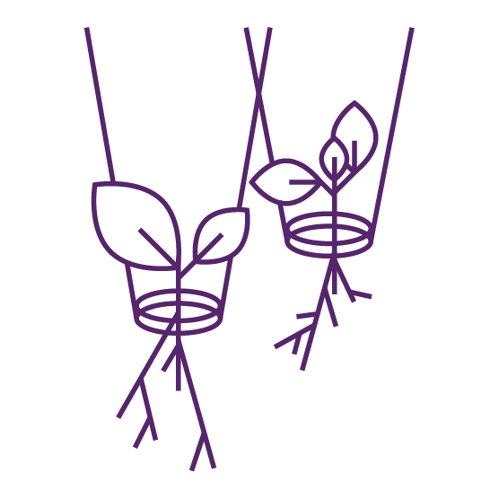 Two hanging plant pots with leaves and roots are illustrated in a minimalist line art style.