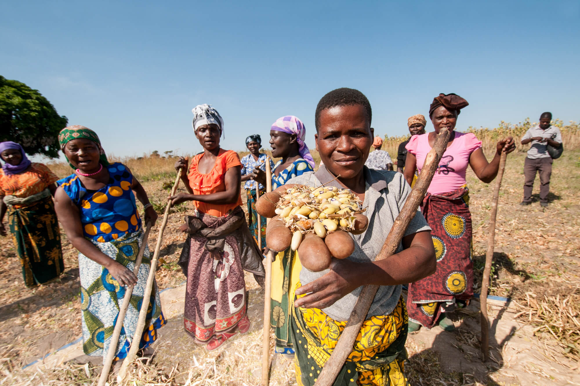 A group of women in colorful dresses proudly display harvested crops in a sunlit field, marking a successful start to their season.