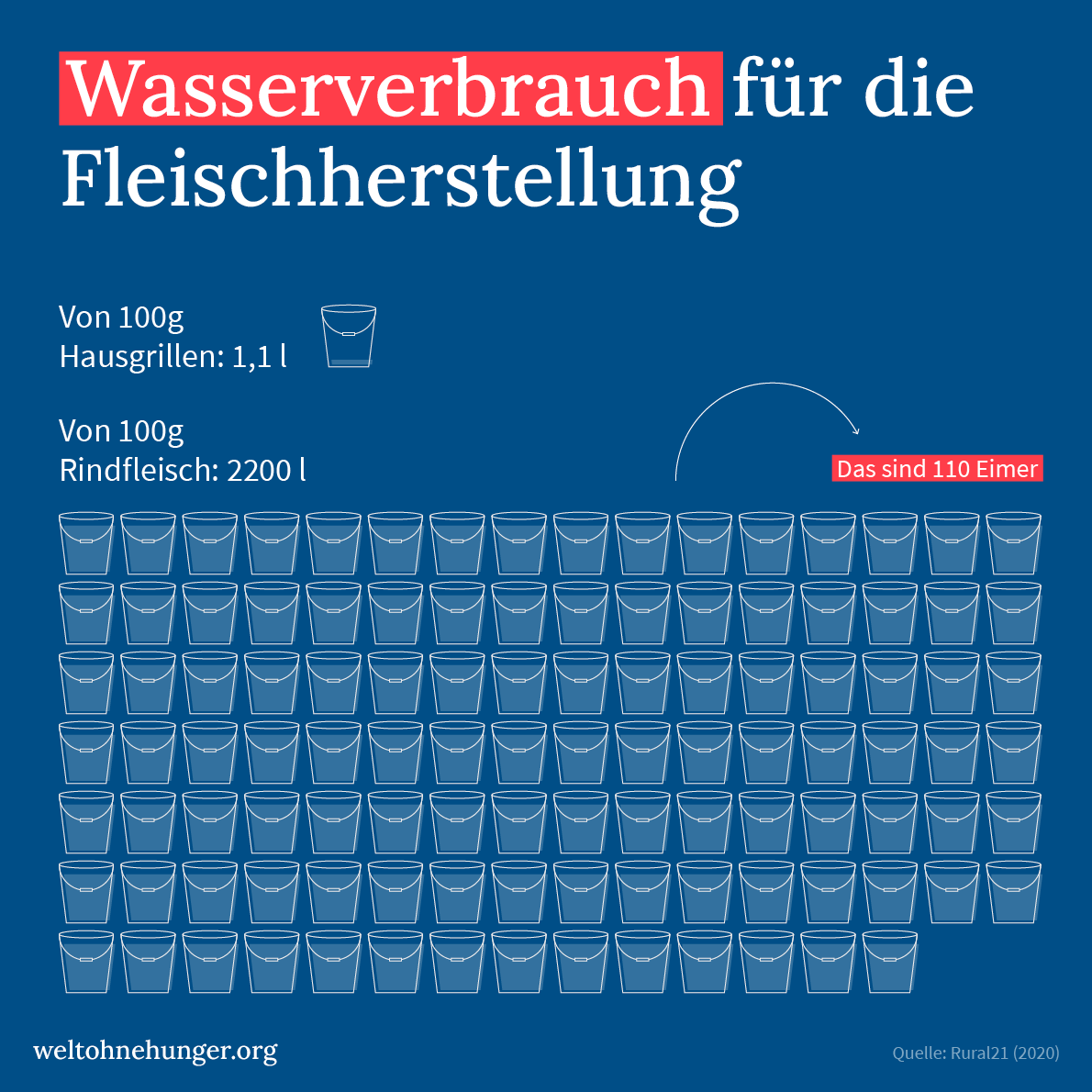 Infografik zeigt Wasserverbrauch für Fleischherstellung mit 110 Eimern für 100g Rindfleisch im Vergleich zu Grillen.