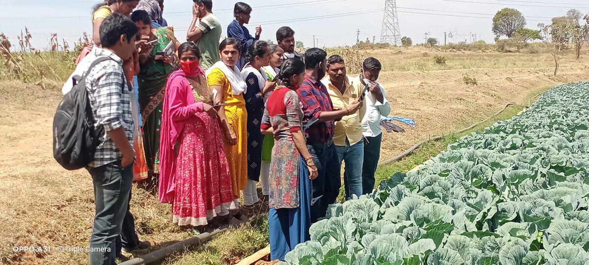 A group of rural youth gathers in a field for hands-on training on agricultural advisories near lush green crops.
