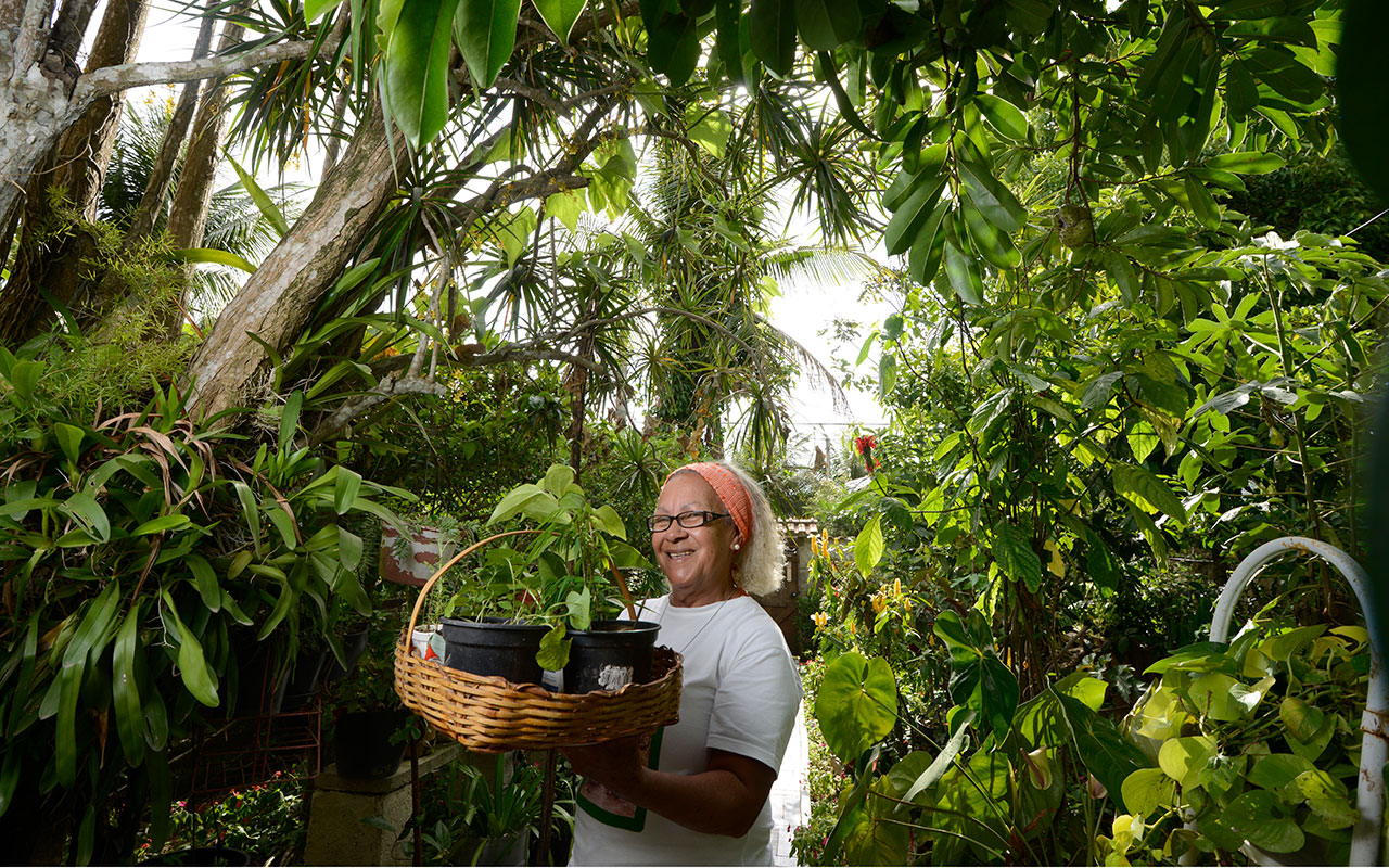 Ich bin ein Alternativtext