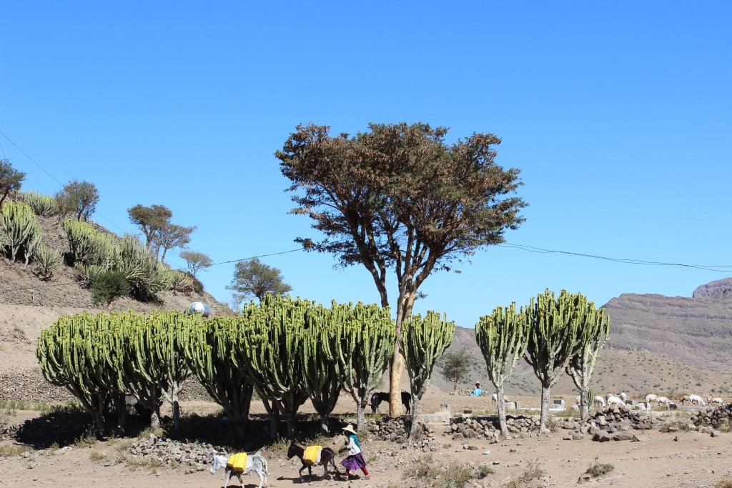 Ich bin ein Alternativtext