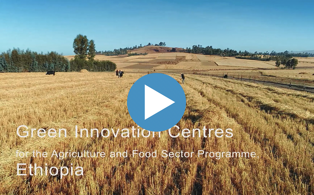 Aerial view of Ethiopian farmland highlighting the Green Innovation Centres' role in sustainable agriculture development.