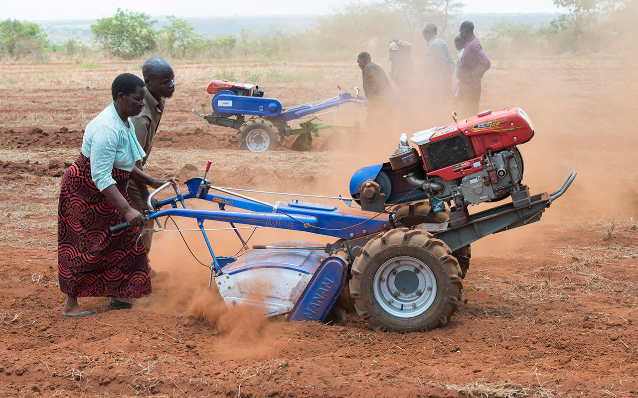 Ich bin ein Alternativtext