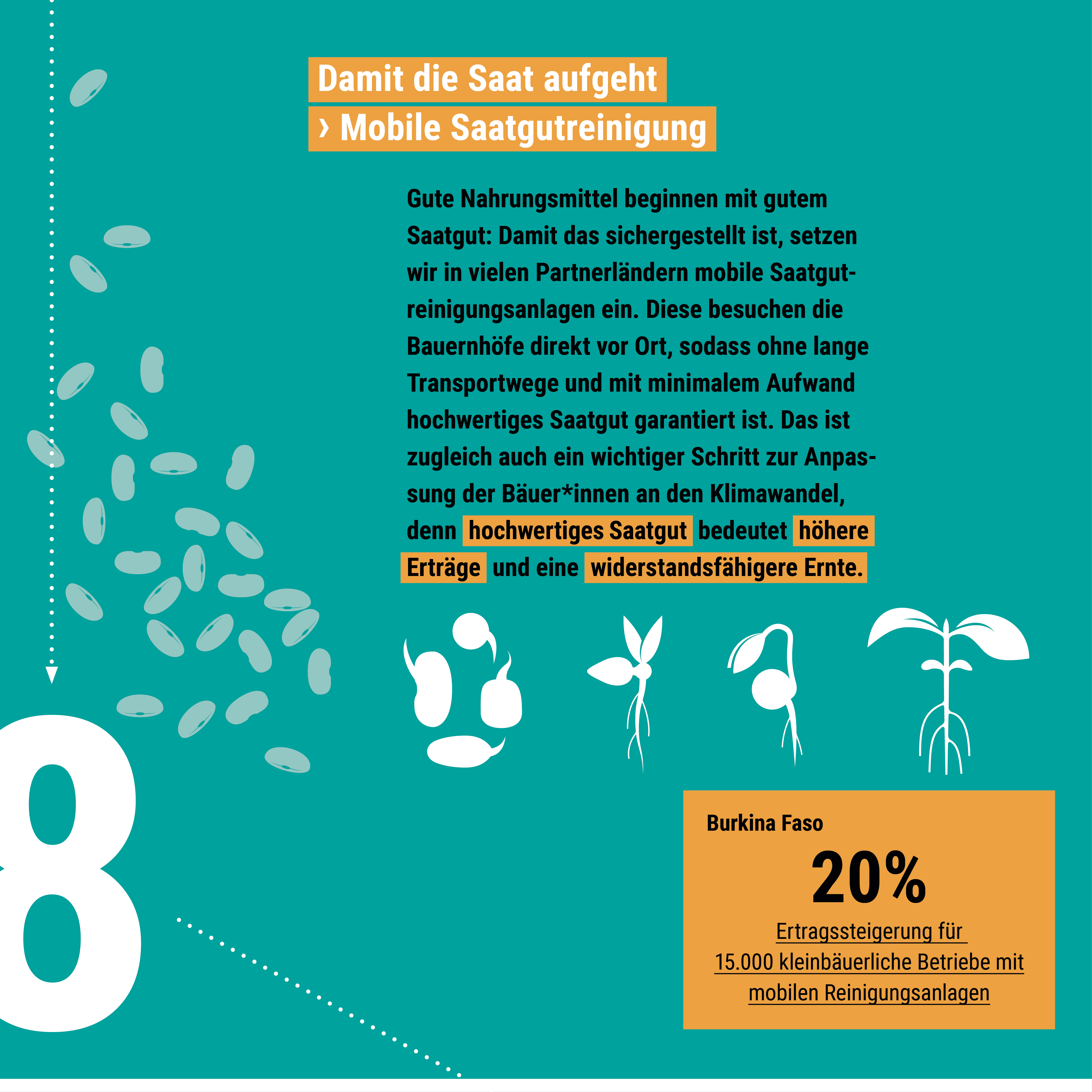 Grafik über mobile Saatgutreinigung zeigt Samen, Pflanzenstadien und einen Text zur Ertragssteigerung in Burkina Faso.