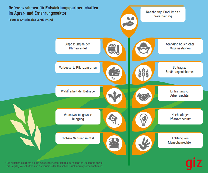 Ein Baumdiagramm zeigt Kriterien für Entwicklungspartnerschaften im Agrar- und Ernährungssektor mit Fokus auf Nachhaltigkeit.